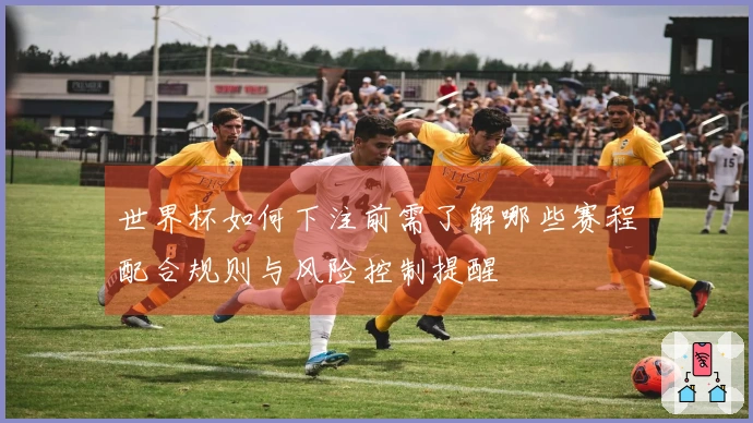 世界杯如何下注前需了解哪些赛程配合规则与风险控制提醒