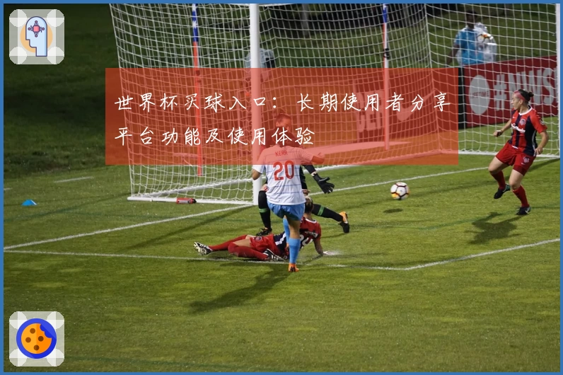 世界杯买球入口:长期使用者分享平台功能及使用体验