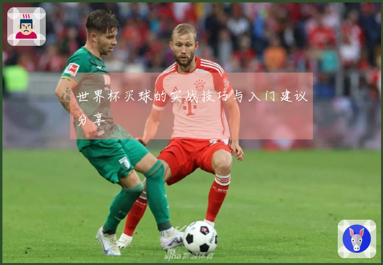 世界杯买球的实战技巧与入门建议分享