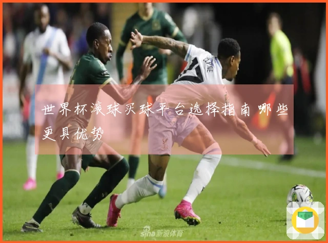 世界杯滚球买球平台选择指南 哪些更具优势