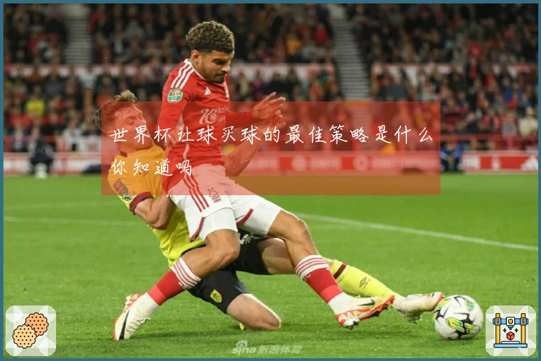 世界杯让球买球的最佳策略是什么你知道吗