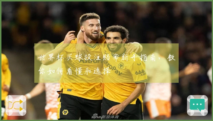 世界杯买球投注赔率新手指南，教你如何看懂和选择