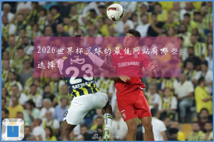 2026世界杯买球的最佳网站有哪些选择?