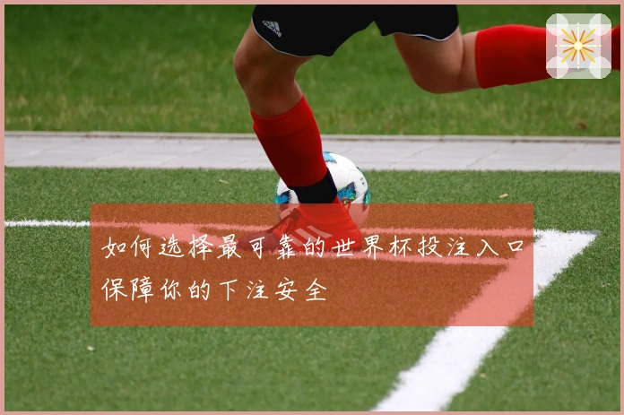 如何选择最可靠的世界杯投注入口保障你的下注安全