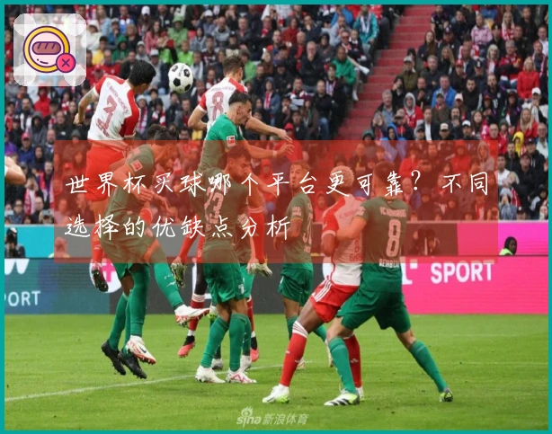 世界杯买球哪个平台更可靠？不同选择的优缺点分析