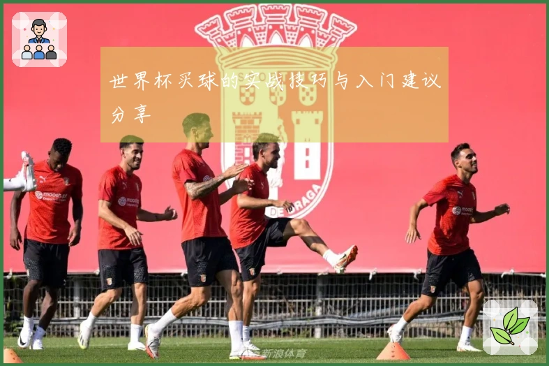 世界杯买球的实战技巧与入门建议分享