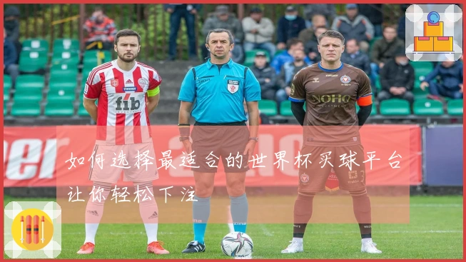 如何选择最适合的世界杯买球平台让你轻松下注