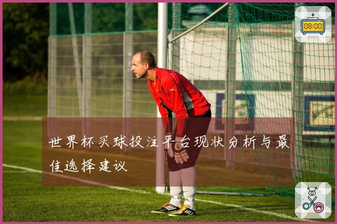 世界杯买球投注平台现状分析与最佳选择建议
